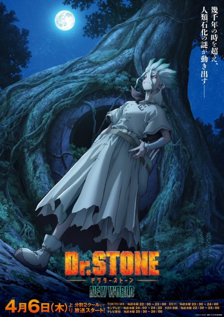 Dr. Stone New World opening